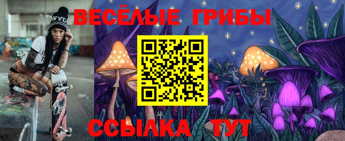 Новоалтайск  Галлюциногенные грибы прущие грибы  Вход с VPN 