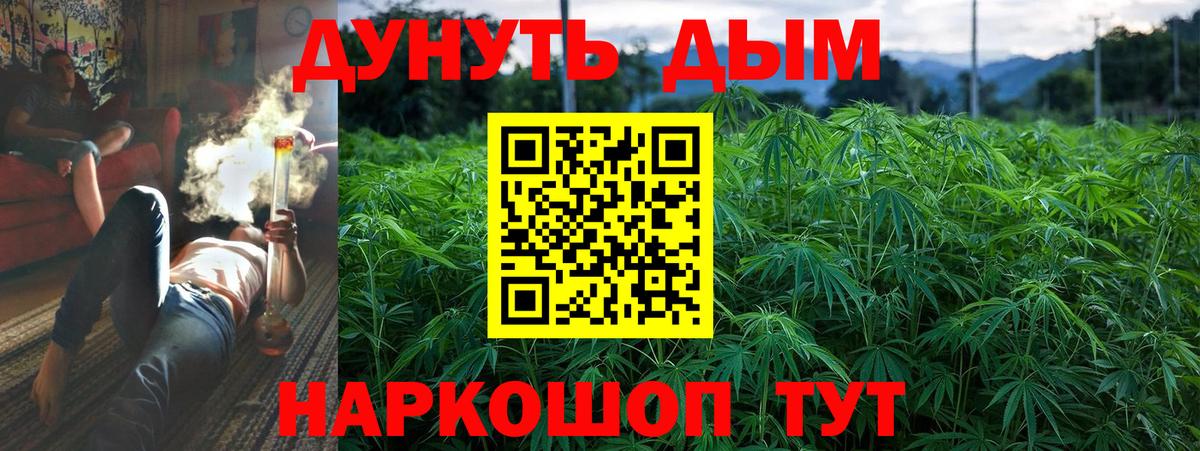 Каннабис планчик Новоалтайск